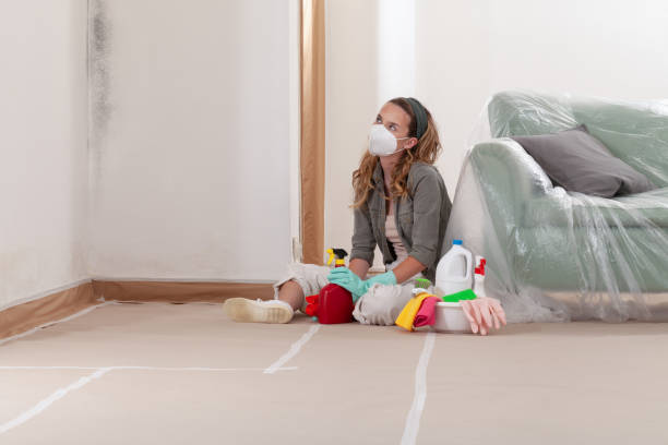 Reliable Mold Remediation contractor in St. James, MD by 24 Hour Mold Removal