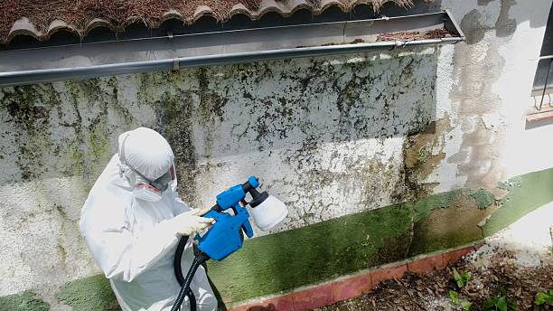 Top rated local Mold Remediation specialists in St. James, MD